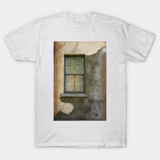 Art of Decay T-Shirt